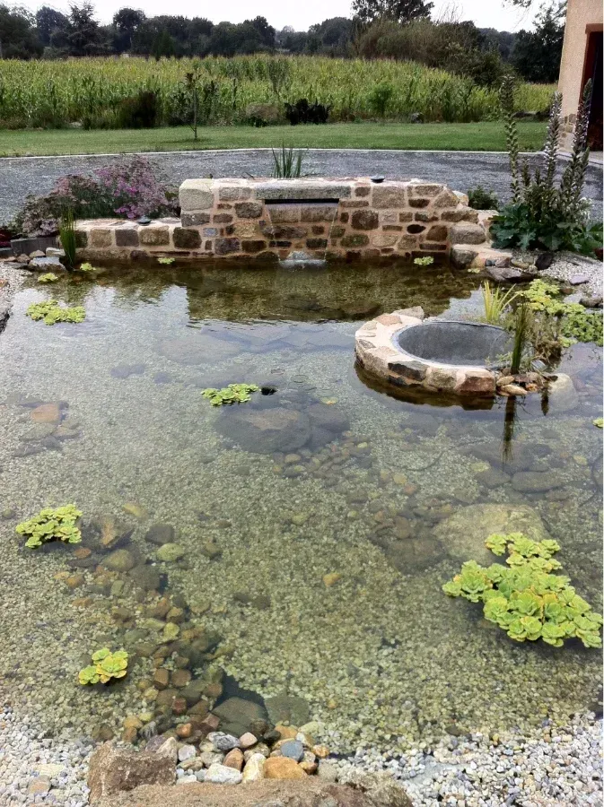 bassin 2